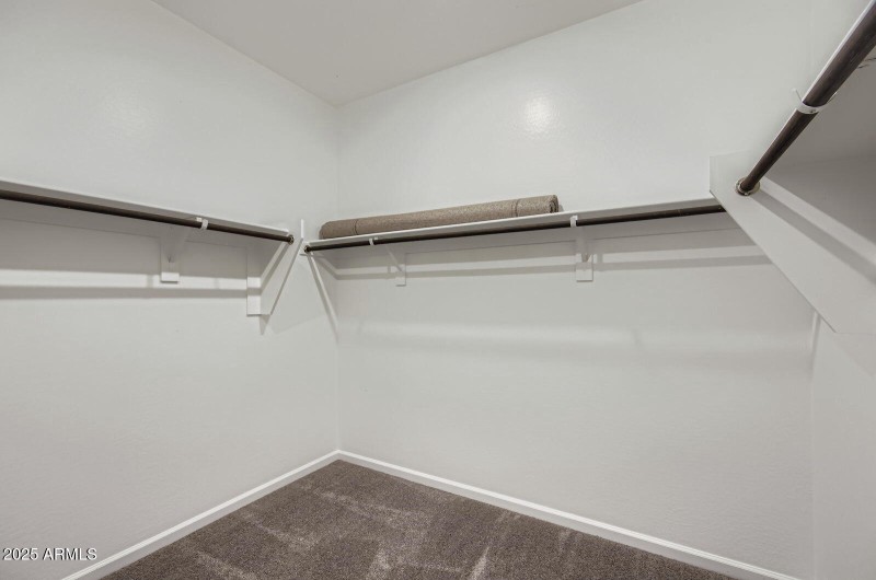 Owners Walk in Closet