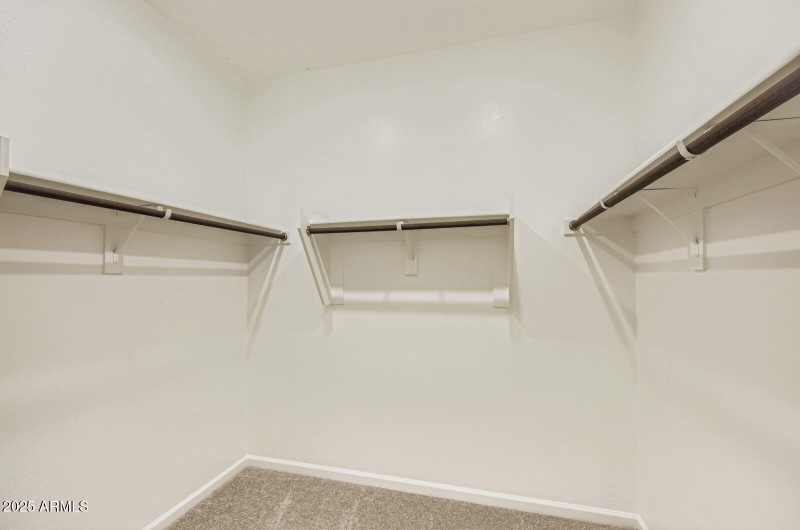 Owners Walk in Closet