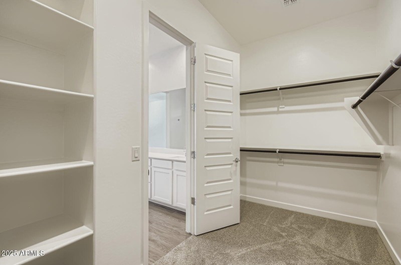 Owners Walk in Closet