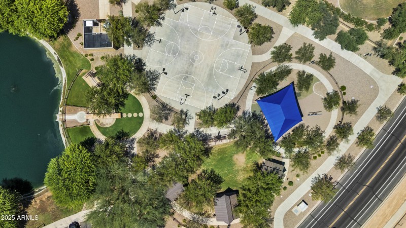 Park and Lake