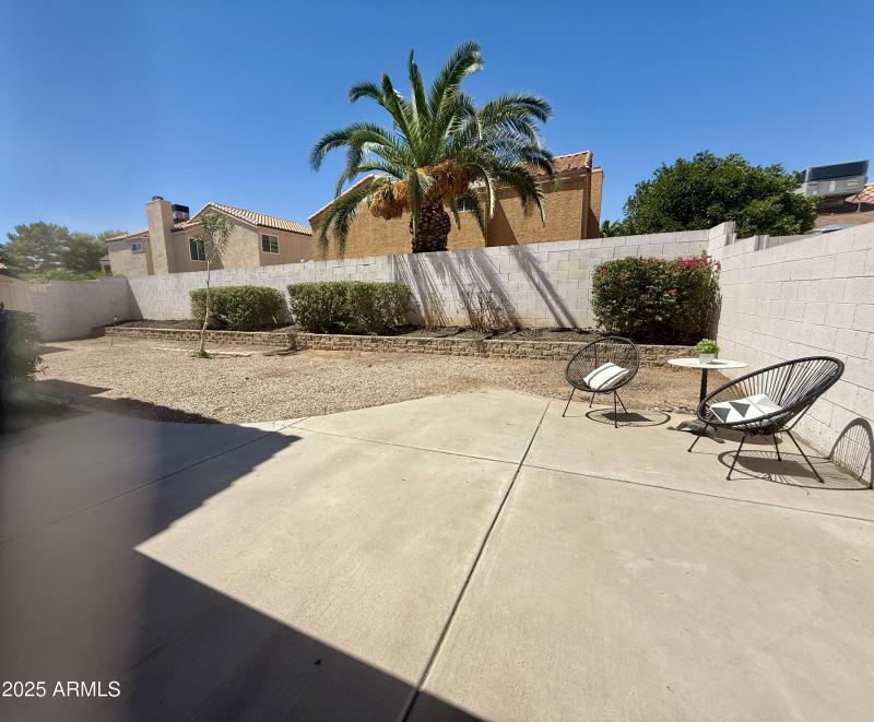 Backyard 3