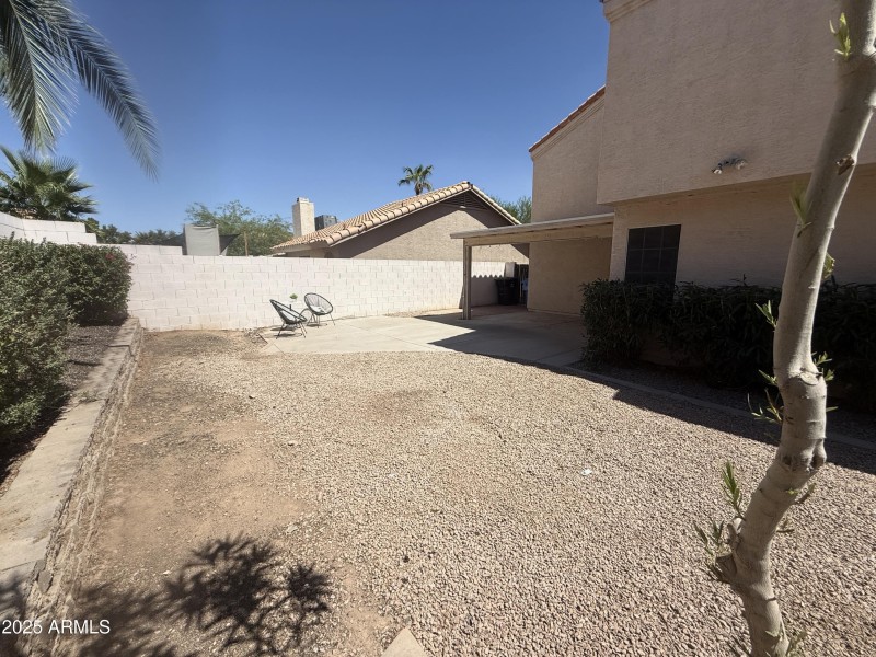 Backyard