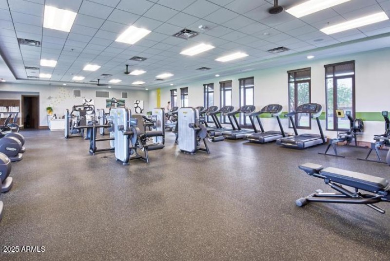 CLUB GYM