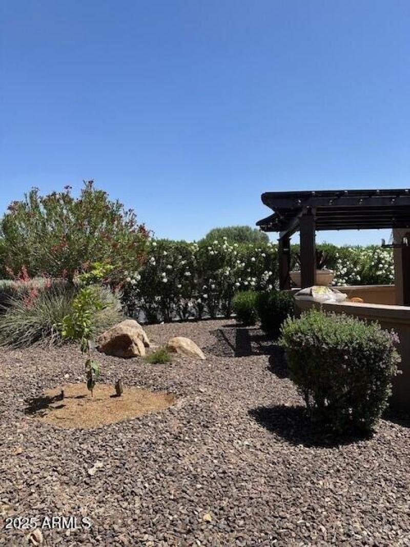 Mature Landscaping Provides Privacy