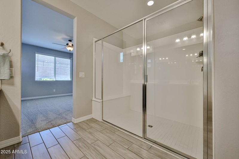 Primary Shower