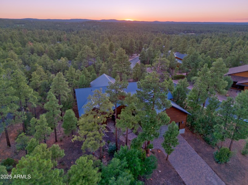 Secluded in the Pines