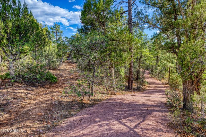 Path right behind your new nest!