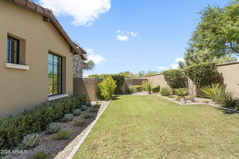 Backyard Grassy Area