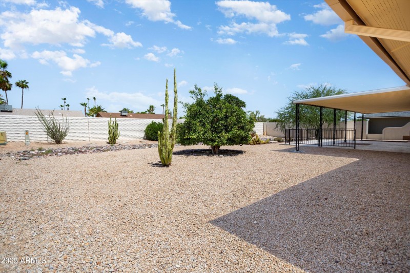 Spacious Backyard