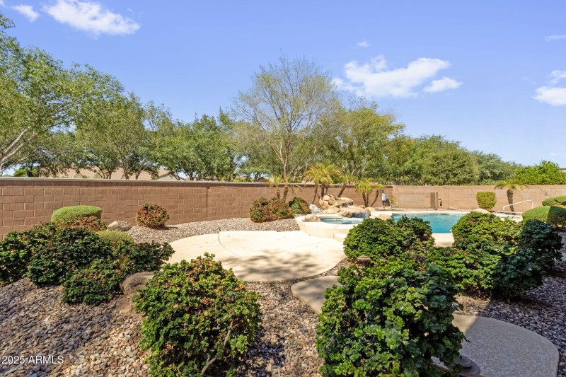 Backyard