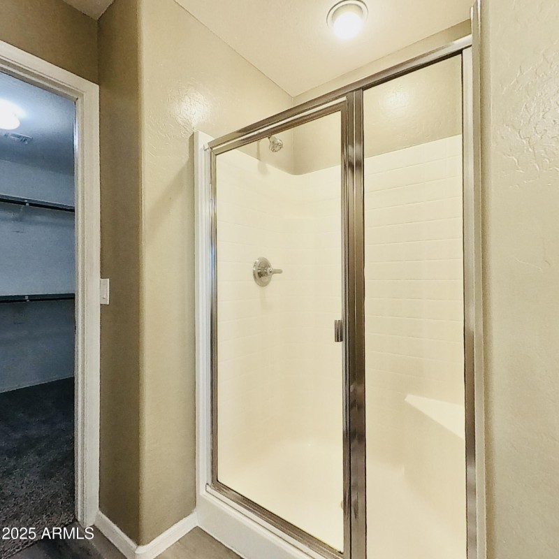 Master Walk-In Shower