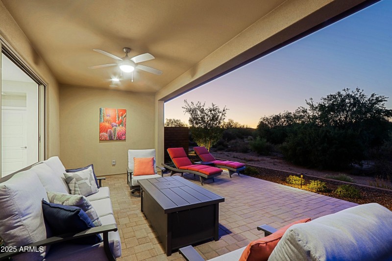 Backyard 15