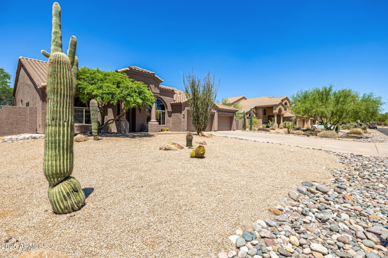 Desert Landscaping & Curb Appeal