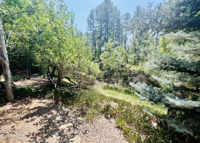 Wooded View/Seasonal Creek Area