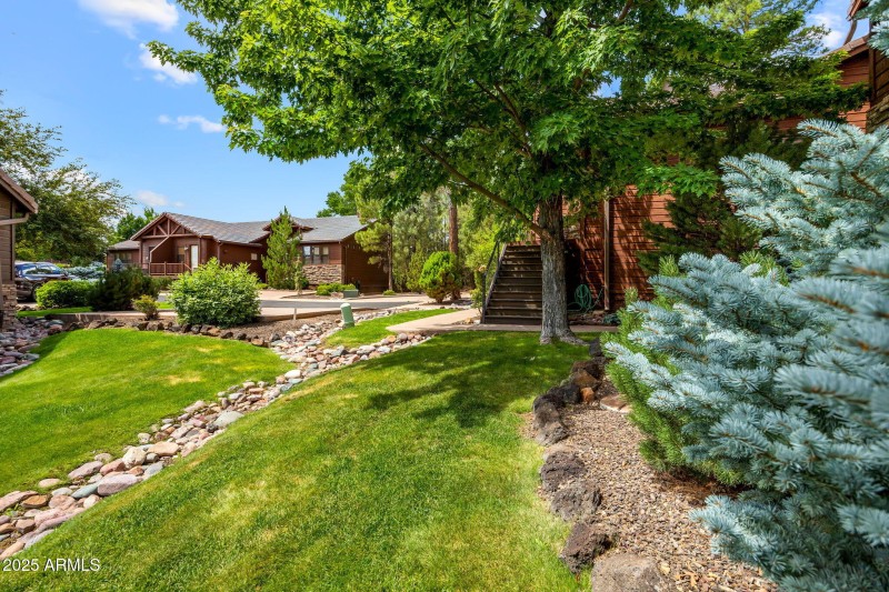 SIDE YARD