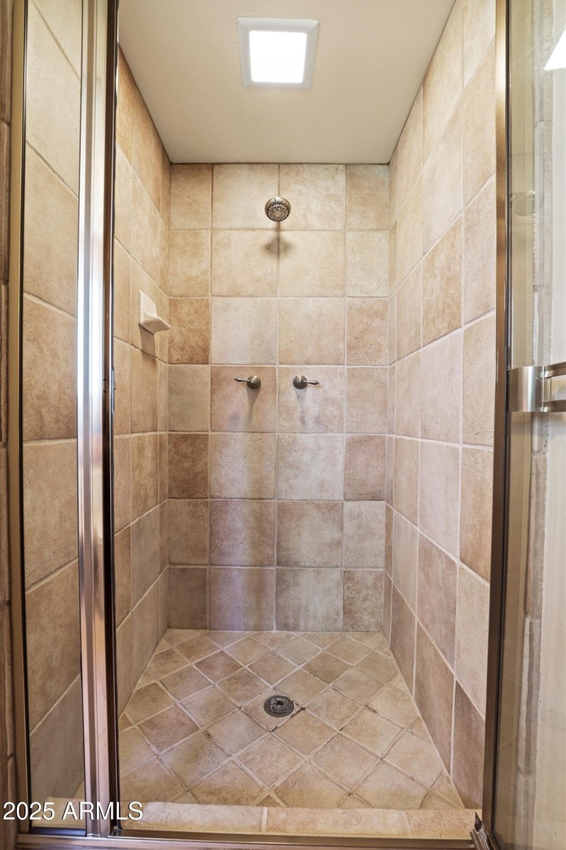 Primary Shower