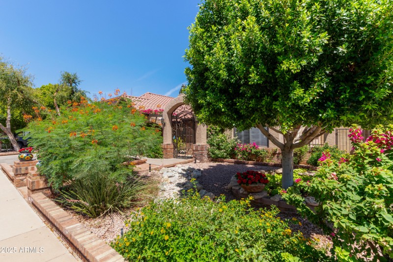 mature landscaping