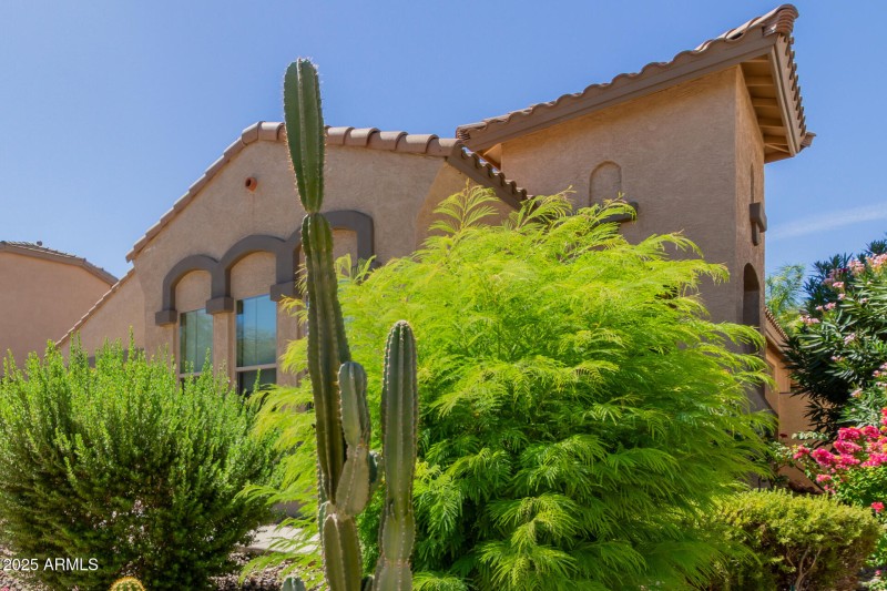 06 - Gran Paradiso 3017