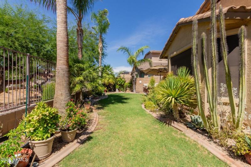 39 - Gran Paradiso 3017