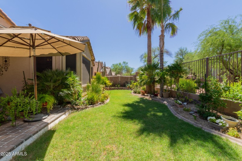 41 - Gran Paradiso 3017