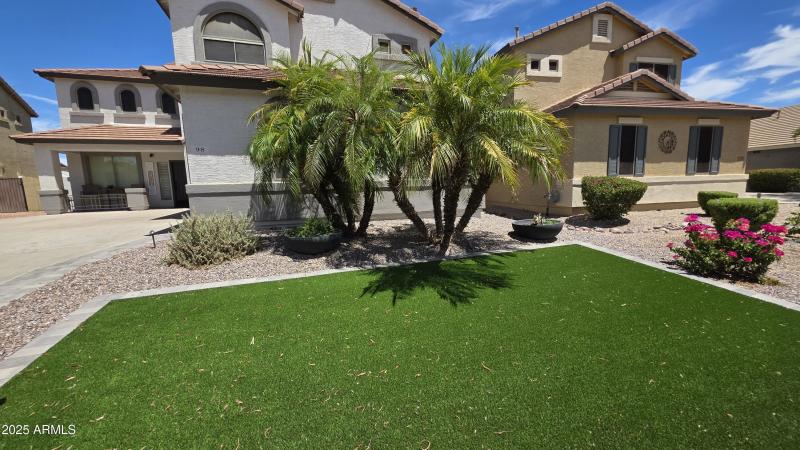 Front grass