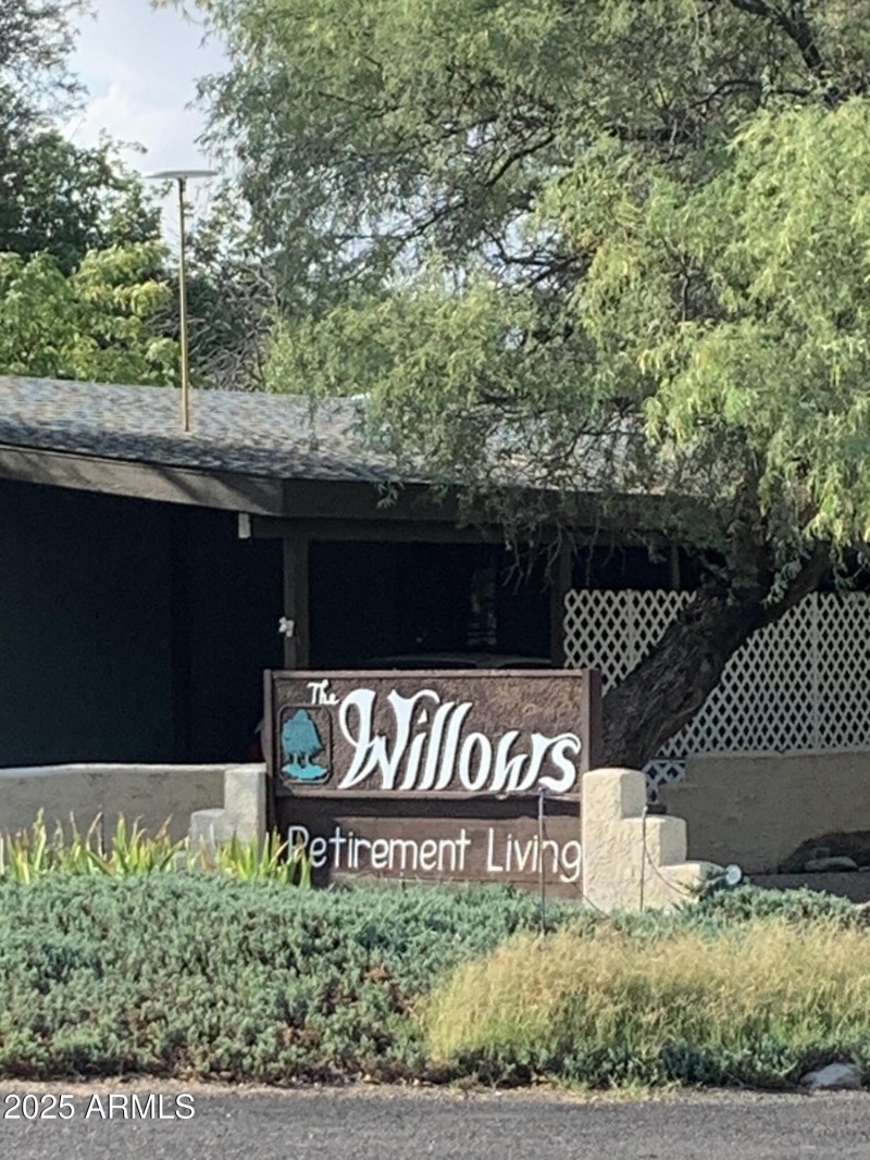 The Willows