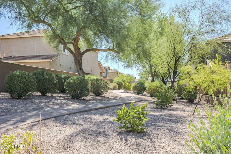 38-web-or-mls-40th-38