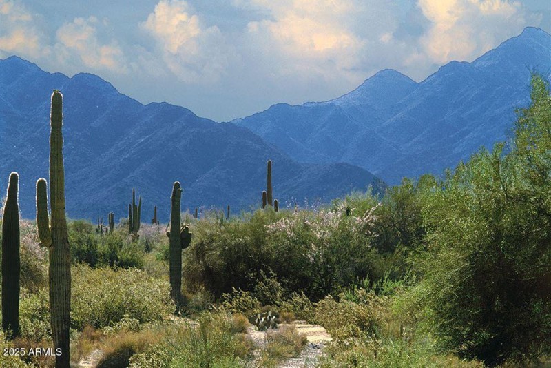 Desert