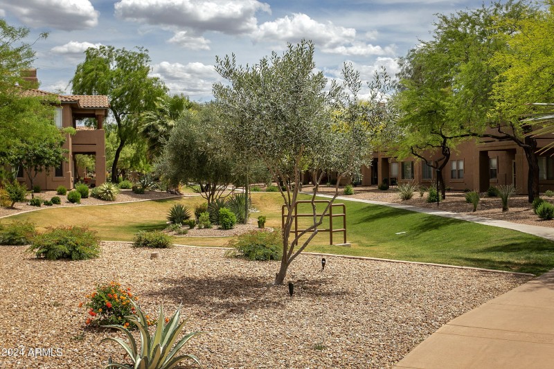 Community open area