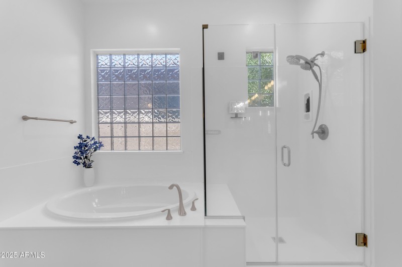 Primary Shower