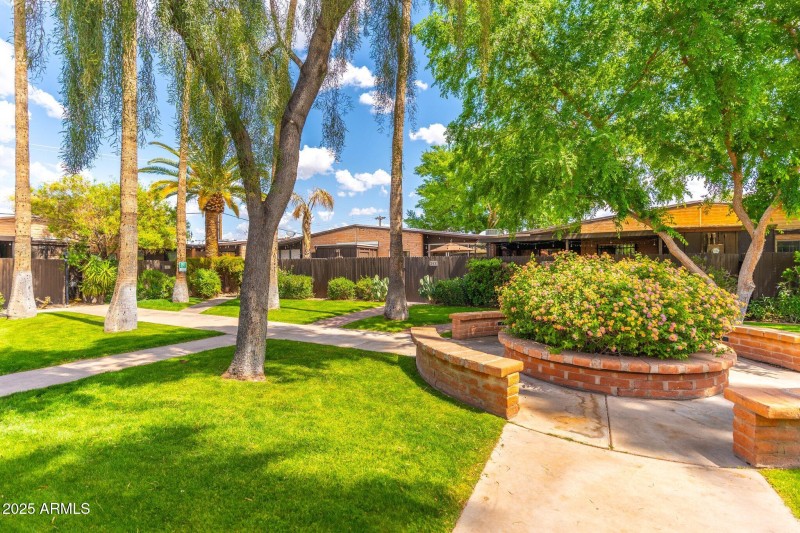 large-019602df-50f1-72f1-ba2d-00d16129d5