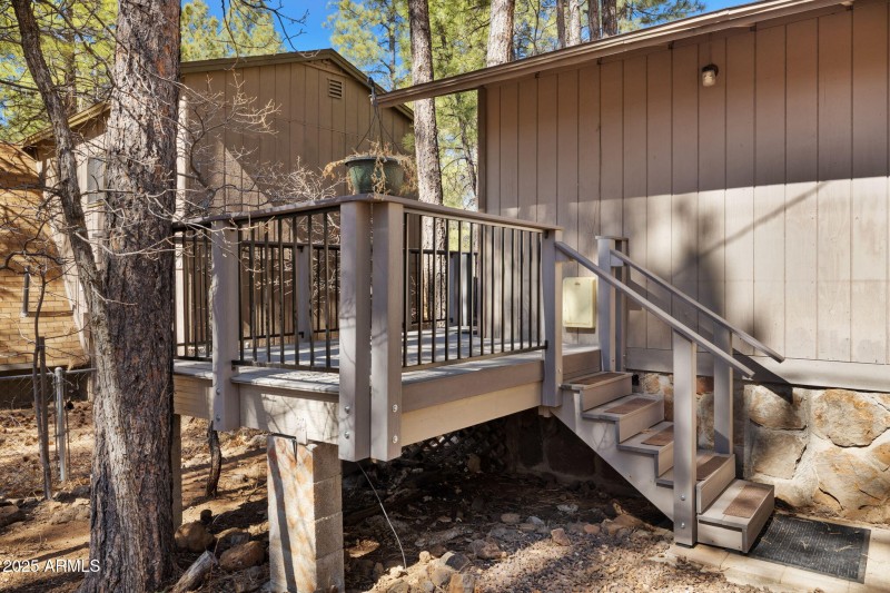 BACK DECK