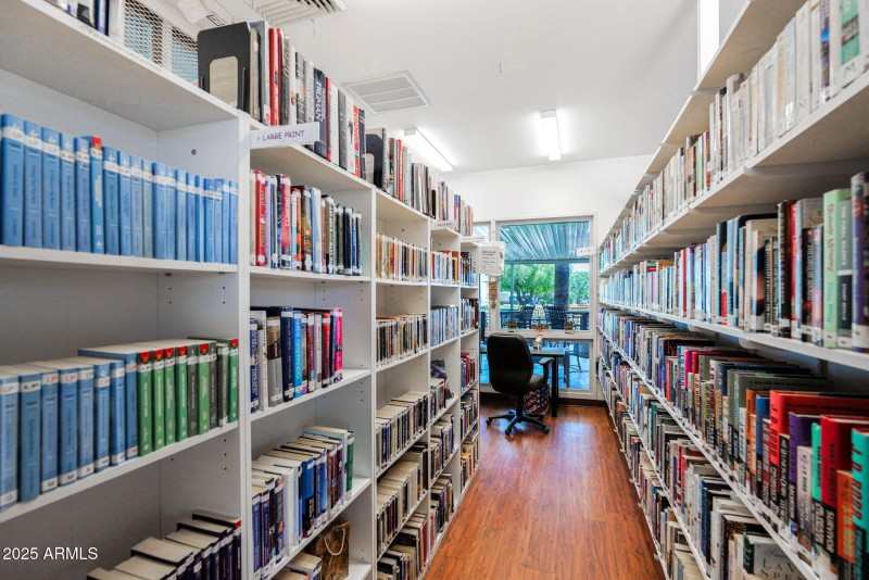 PLV Community Library