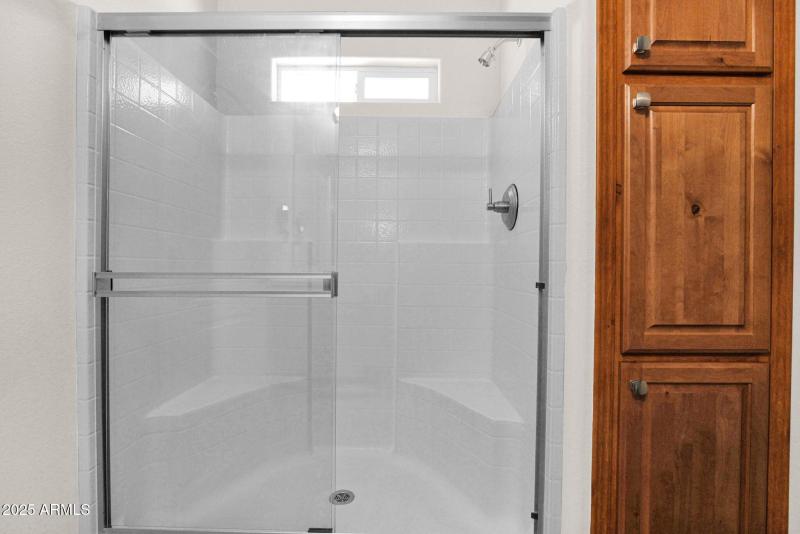 Primary Shower