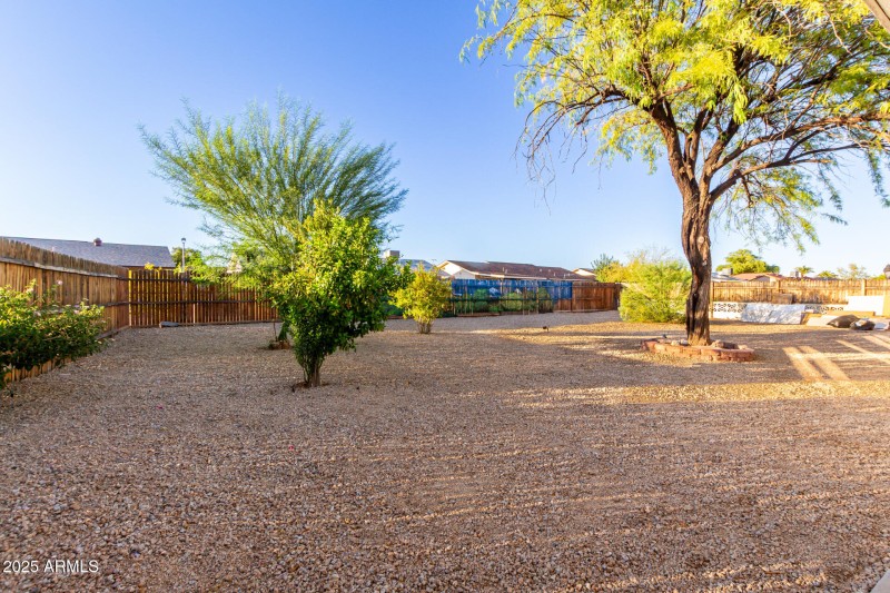 Backyard View D