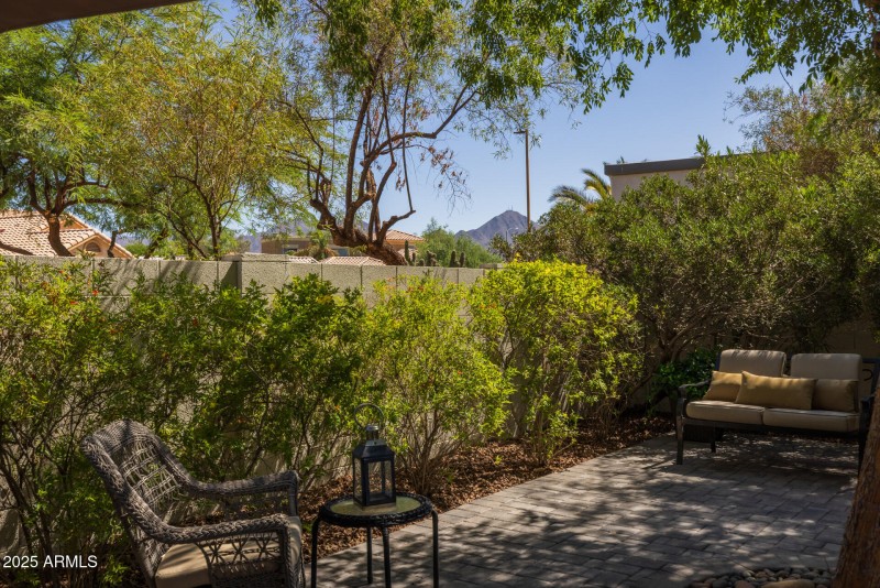 37)BACKYARD