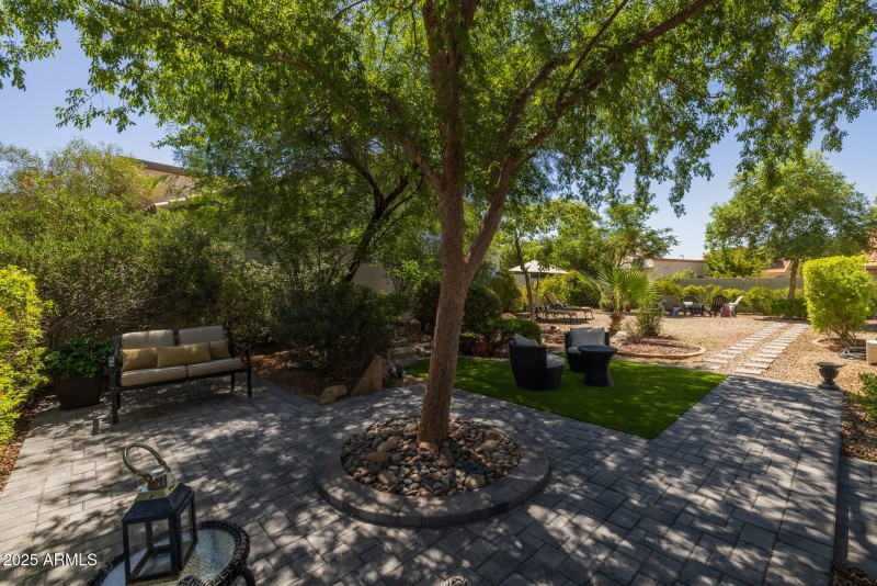 38)BACKYARD