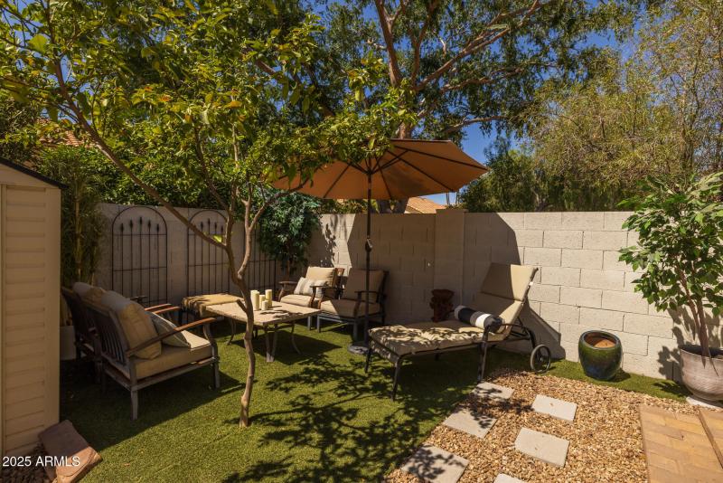 43)BACKYARD