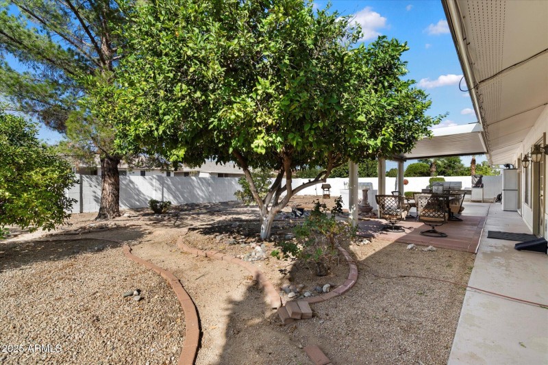 Yard