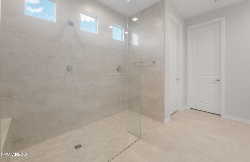 Owner's Bathroom