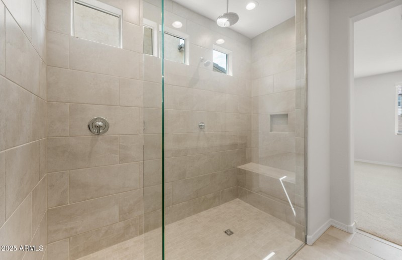 Owner's Bathroom
