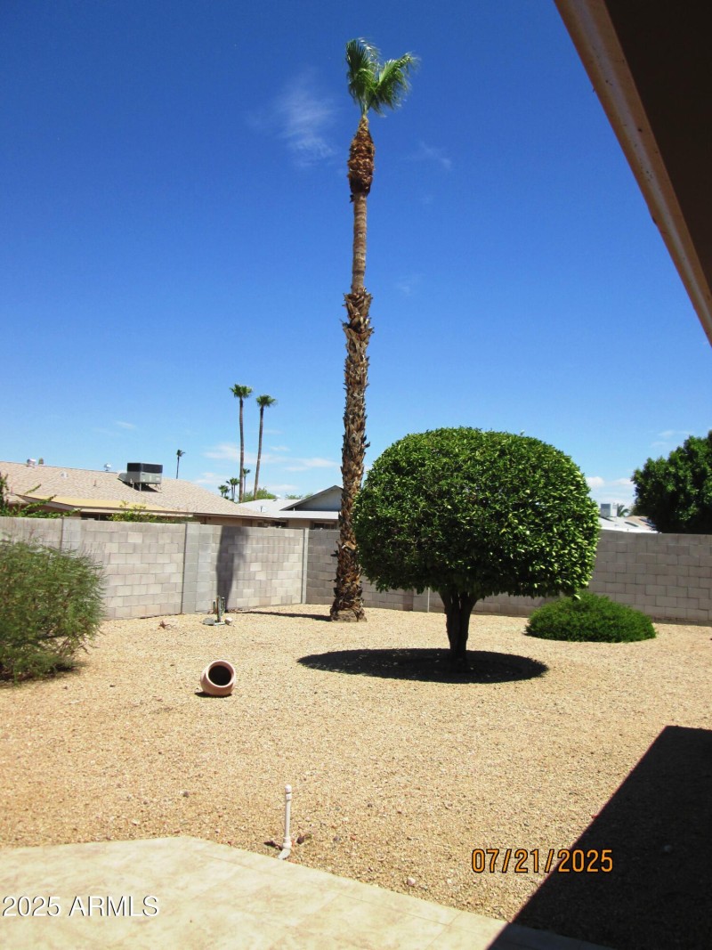 back yard 2