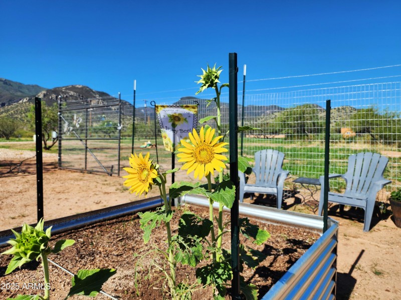 Large garden with no climb fencing