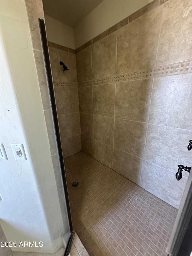 Master Walk In Shower