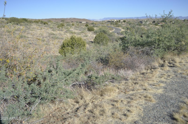 View of lot from Bensch Ranch Blvd