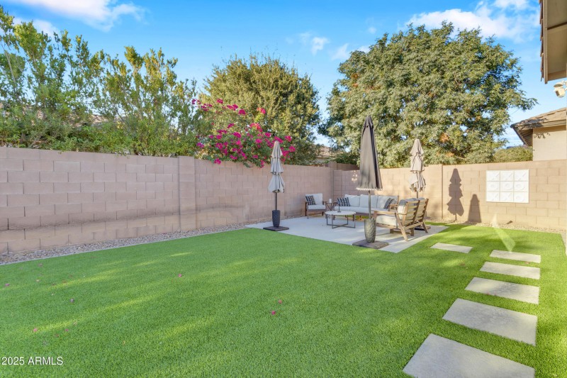 Backyard