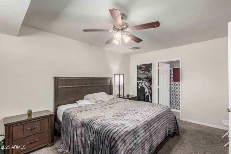 13 Royal Palm
