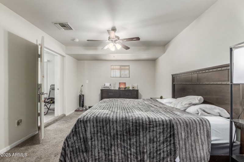 15 Royal Palm