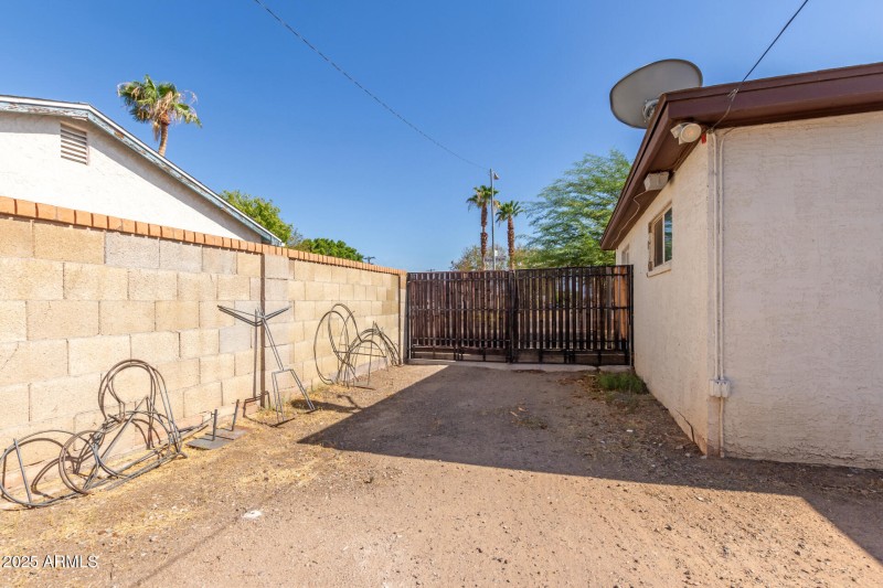 26 Royal Palm