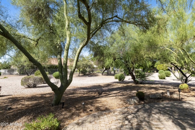 Back yard open space